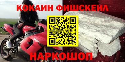 гашик Камышлов