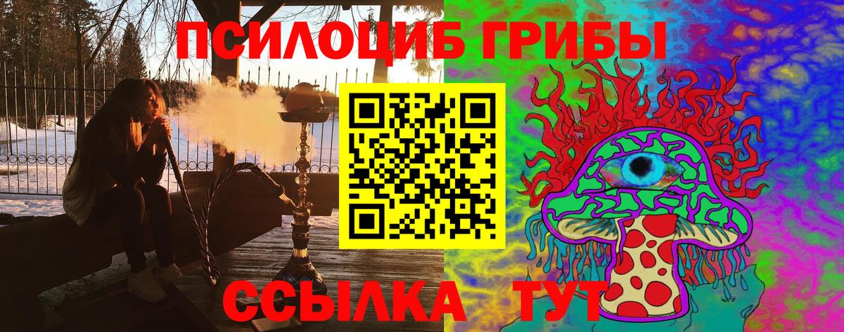Псилоцибиновые грибы Psilocybine cubensis Бутурлиновка