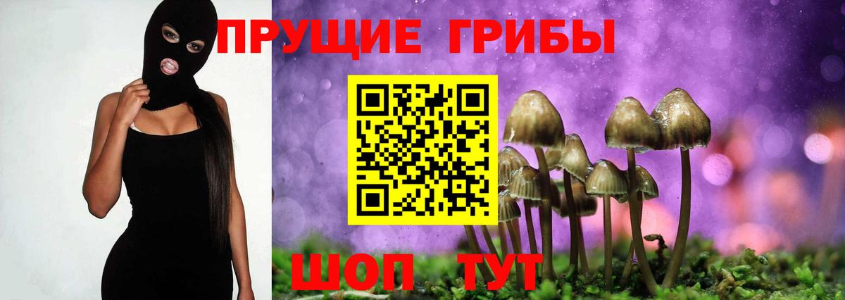 Галлюциногенные грибы Cubensis  Галлюциногенные грибы Psilocybine cubensis  Бутурлиновка  Вход с VPN 